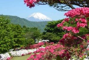 Tour privado al monte Fuji con servicio de recogida del hotel en Tokio