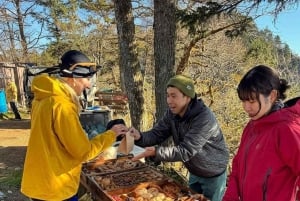 Tour privado al monte Fuji con servicio de recogida del hotel en Tokio