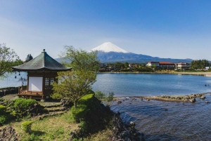 Privétour naar de berg Fuji met ophaalservice vanaf je hotel in Tokio