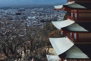 Privétour naar de berg Fuji met ophaalservice vanaf je hotel in Tokio