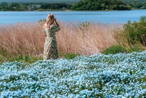 Privétour naar de berg Fuji met ophaalservice vanaf je hotel in Tokio