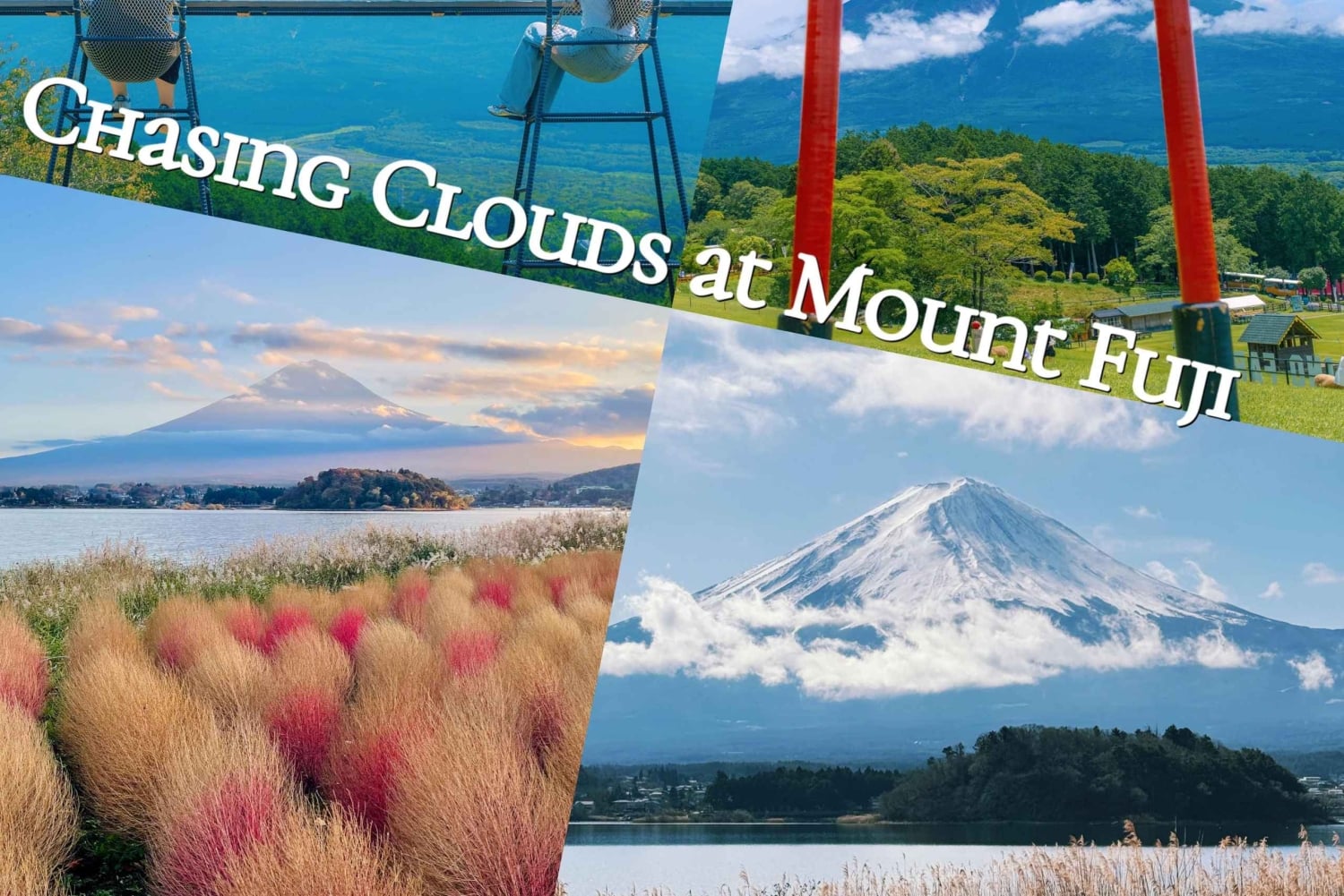Tour panoramico del Monte Fuji: lago Kawaguchi e visita a una fattoria