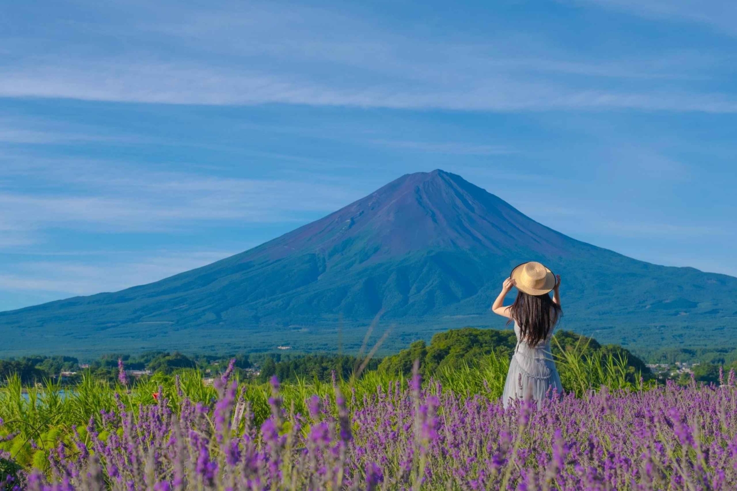 Tour panoramico del Monte Fuji: lago Kawaguchi e visita a una fattoria
