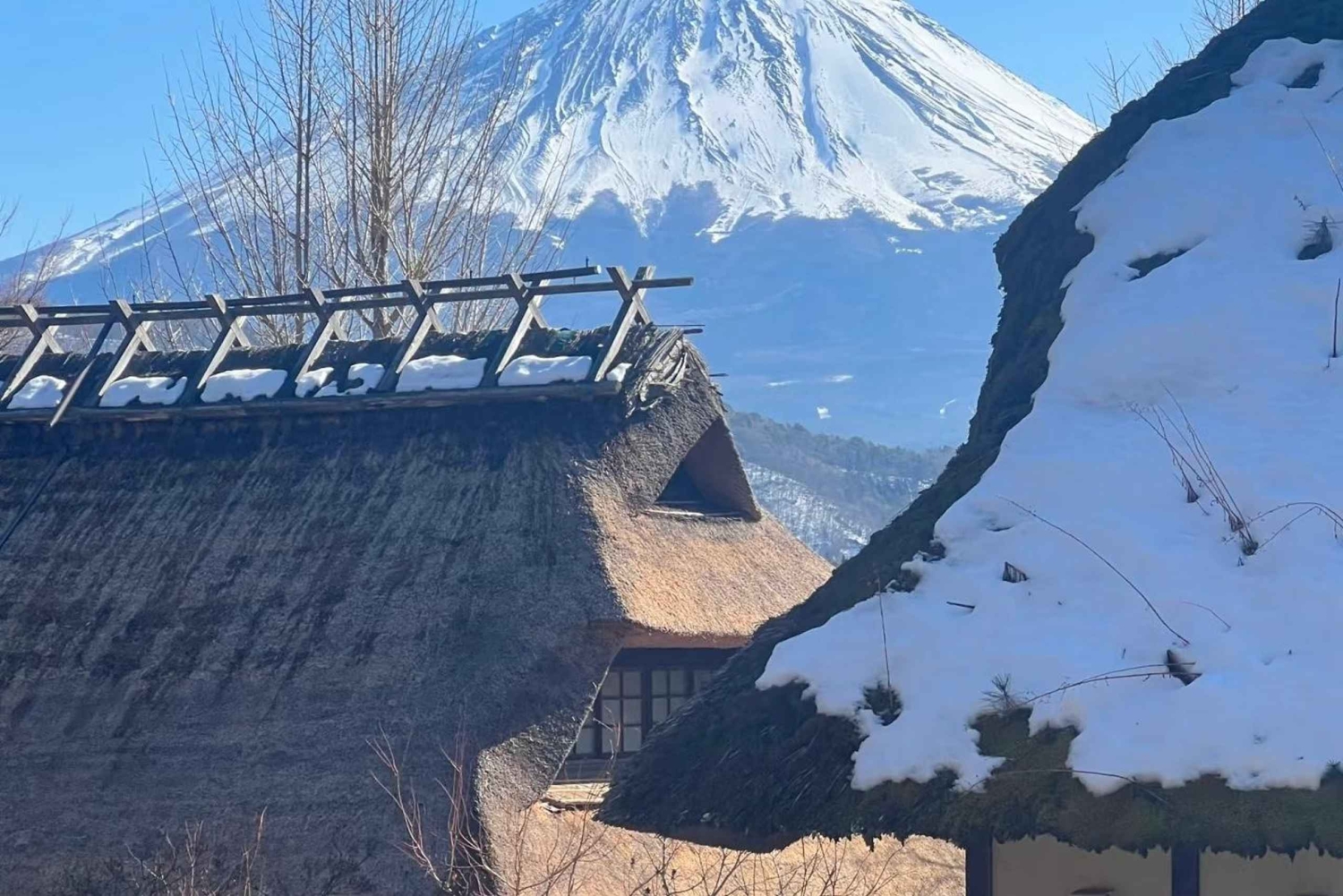 Tour panoramico del Monte Fuji: lago Kawaguchi e visita a una fattoria