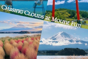 Tour panoramico del Monte Fuji: lago Kawaguchi e visita a una fattoria