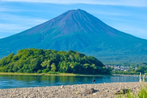 Tour panoramico del Monte Fuji: lago Kawaguchi e visita a una fattoria
