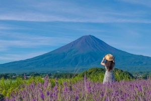 Tour panoramico del Monte Fuji: lago Kawaguchi e visita a una fattoria