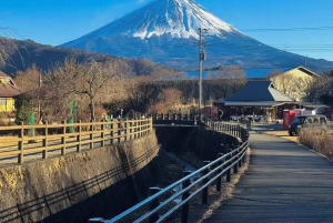 Tour panoramico del Monte Fuji: lago Kawaguchi e visita a una fattoria