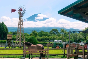 Tour panoramico del Monte Fuji: lago Kawaguchi e visita a una fattoria