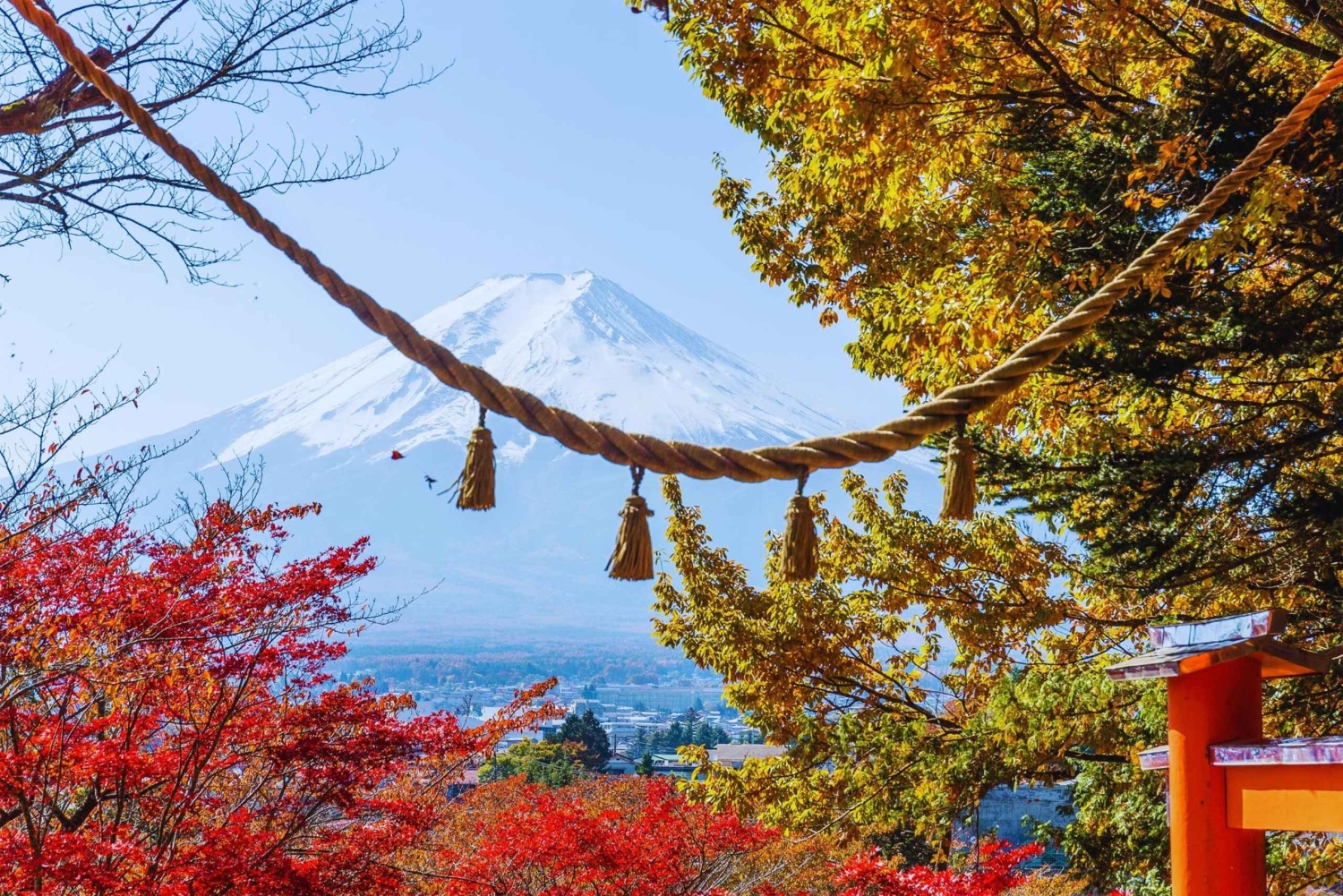Mt. Fuji Scenic Train & Lake Kawaguchi Day Tour from Tokyo