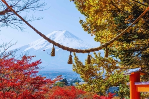 Mt. Fuji Scenic Train & Lake Kawaguchi Day Tour from Tokyo