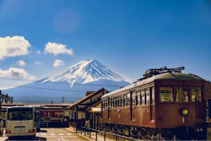 Mt. Fuji Scenic Train & Lake Kawaguchi Day Tour from Tokyo
