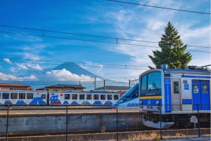 Mt. Fuji Scenic Train & Lake Kawaguchi Day Tour from Tokyo