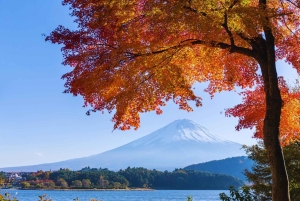 Mt. Fuji Scenic Train & Lake Kawaguchi Day Tour from Tokyo