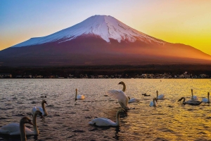 Mt. Fuji Scenic Train & Lake Kawaguchi Day Tour from Tokyo