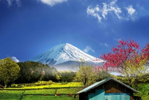 Mt. Fuji Scenic Train & Lake Kawaguchi Day Tour from Tokyo
