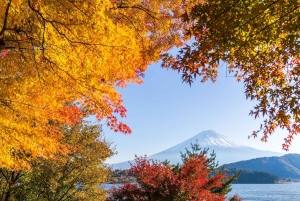 Mt. Fuji Scenic Train & Lake Kawaguchi Day Tour from Tokyo