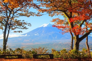 Mt. Fuji Scenic Train & Lake Kawaguchi Day Tour from Tokyo