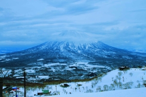 Mt. Fuji Scenic Train & Lake Kawaguchi Day Tour from Tokyo