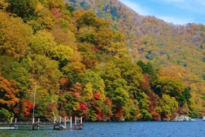 Mt. Fuji Scenic Train & Lake Kawaguchi Day Tour from Tokyo