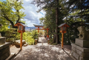 Mt. Fuji Scenic Train & Lake Kawaguchi Day Tour from Tokyo