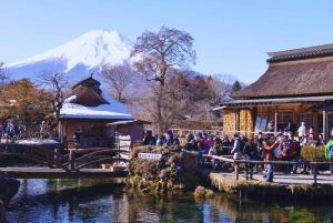 Mt. Fuji Scenic Train & Lake Kawaguchi Day Tour from Tokyo