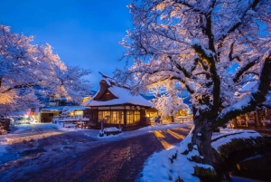 Mt. Fuji Scenic Train & Lake Kawaguchi Day Tour from Tokyo