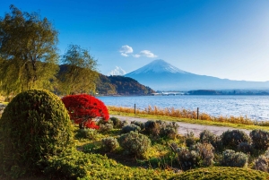 Mt. Fuji Scenic Train & Lake Kawaguchi Day Tour from Tokyo