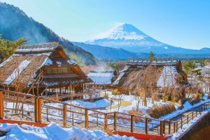 Mt. Fuji Scenic Train & Lake Kawaguchi Day Tour from Tokyo