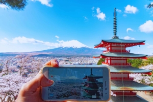 Mt. Fuji Scenic Train & Lake Kawaguchi Day Tour from Tokyo