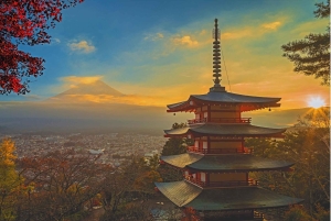 Mt. Fuji Scenic Train & Lake Kawaguchi Day Tour from Tokyo