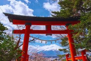 Mt. Fuji Scenic Train & Lake Kawaguchi Day Tour from Tokyo