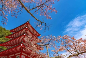 Mt. Fuji Scenic Train & Lake Kawaguchi Day Tour from Tokyo