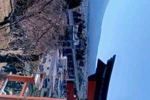 Fuji-vuoren nähtävyyksiä – yksityinen kierros englanninkielisen oppaan kanssa