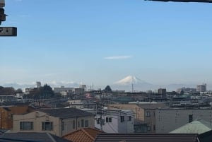 Fuji-vuoren nähtävyyksiä – yksityinen kierros englanninkielisen oppaan kanssa