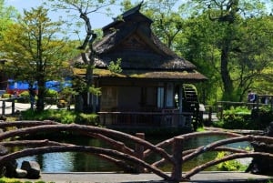 Fuji-vuoren nähtävyyksiä – yksityinen kierros englanninkielisen oppaan kanssa