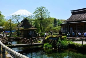 Fuji-vuoren nähtävyyksiä – yksityinen kierros englanninkielisen oppaan kanssa