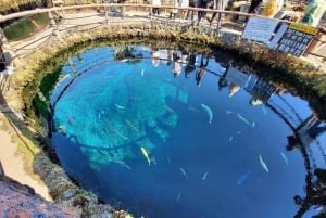 Fuji-vuoren nähtävyyksiä – yksityinen kierros englanninkielisen oppaan kanssa