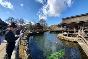 Fuji-vuoren nähtävyyksiä – yksityinen kierros englanninkielisen oppaan kanssa