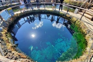 Fuji-vuoren nähtävyyksiä – yksityinen kierros englanninkielisen oppaan kanssa