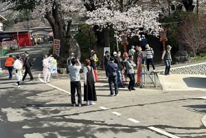 Fuji-vuoren nähtävyyksiä – yksityinen kierros englanninkielisen oppaan kanssa