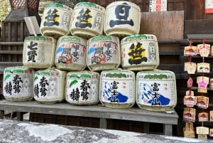 Fuji-vuoren nähtävyyksiä – yksityinen kierros englanninkielisen oppaan kanssa