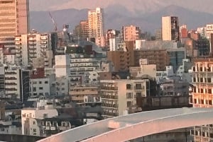 Fuji-vuoren nähtävyyksiä – yksityinen kierros englanninkielisen oppaan kanssa