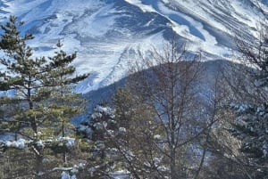 Fuji-vuoren nähtävyyksiä – yksityinen kierros englanninkielisen oppaan kanssa