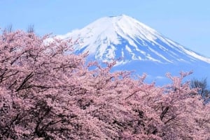 Fuji-vuoren nähtävyyksiä – yksityinen kierros englanninkielisen oppaan kanssa