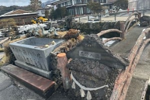 Fuji-vuoren nähtävyyksiä – yksityinen kierros englanninkielisen oppaan kanssa