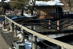 Fuji-vuoren nähtävyyksiä – yksityinen kierros englanninkielisen oppaan kanssa