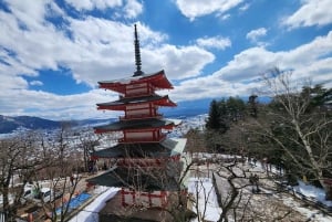 Fuji-vuoren nähtävyyksiä – yksityinen kierros englanninkielisen oppaan kanssa