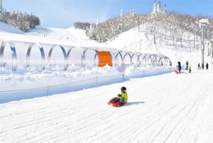 Experiencia de esquí en el monte Fuji: excursión de 1 día a la estación de esquí YETI y a un onsen