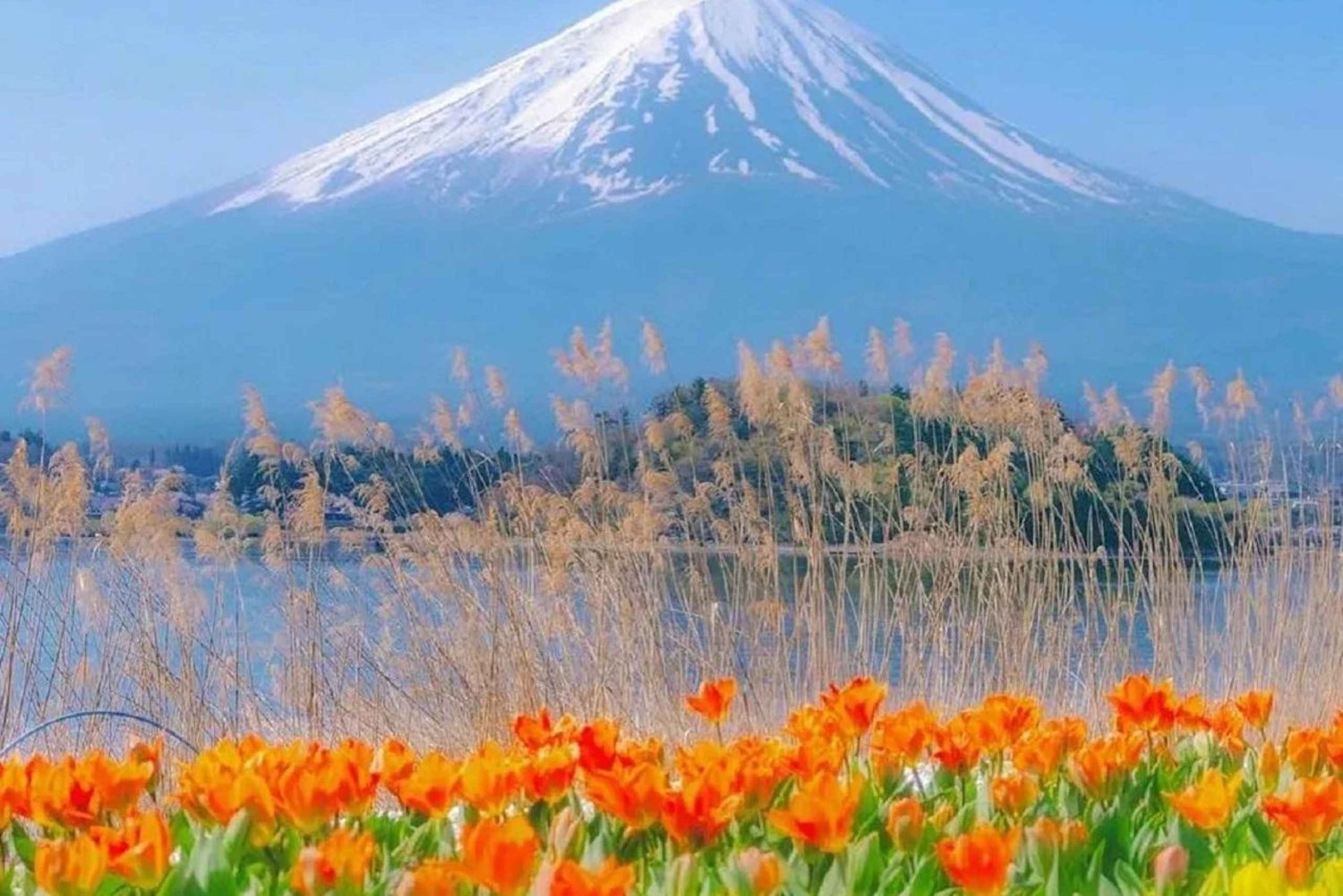 Excursion d'une journée aux 5 principaux sites du Mont Fuji : Parc Arakurayama, Oshino Hakkai